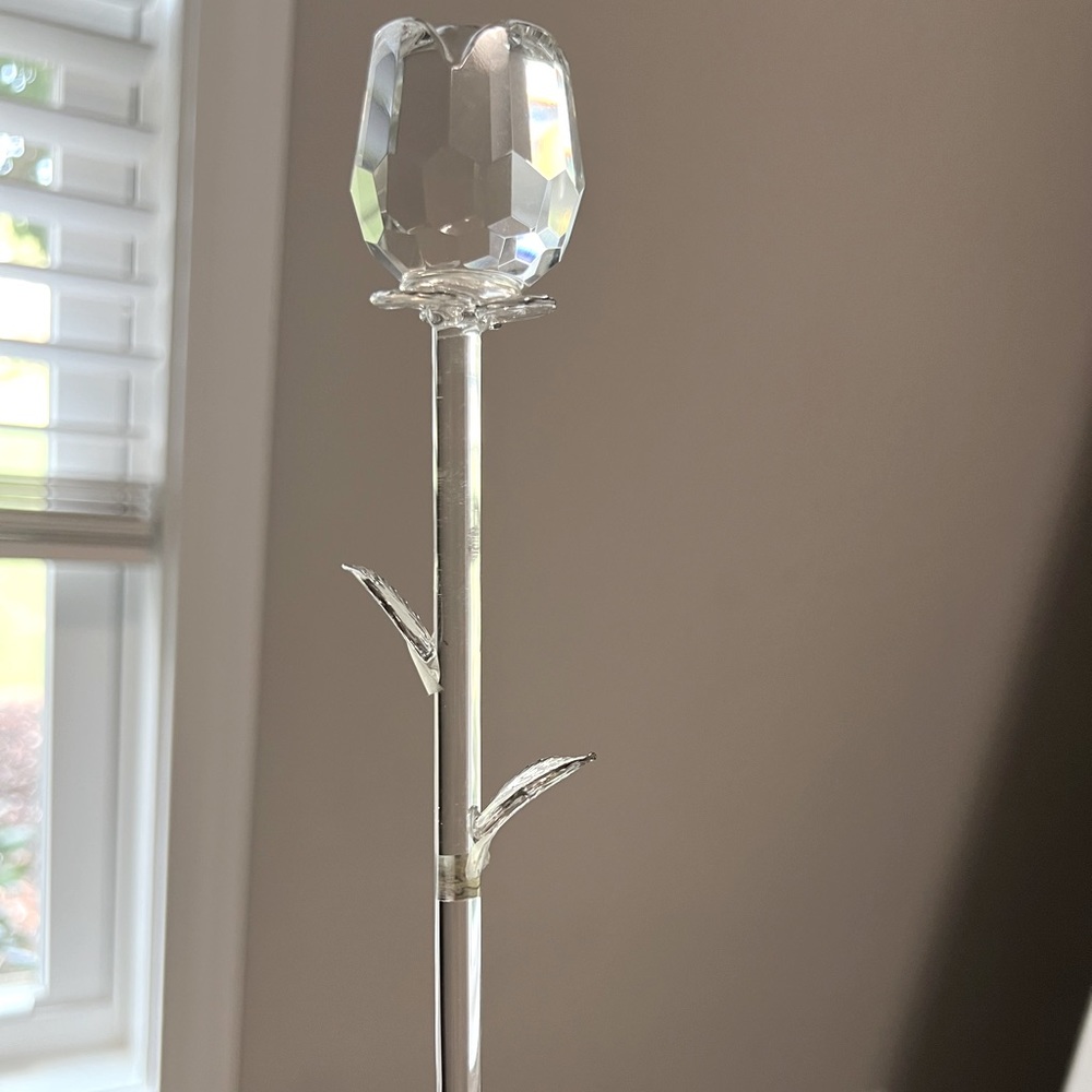 A Single Crystal Rose 🌹 | w/ dainty petals